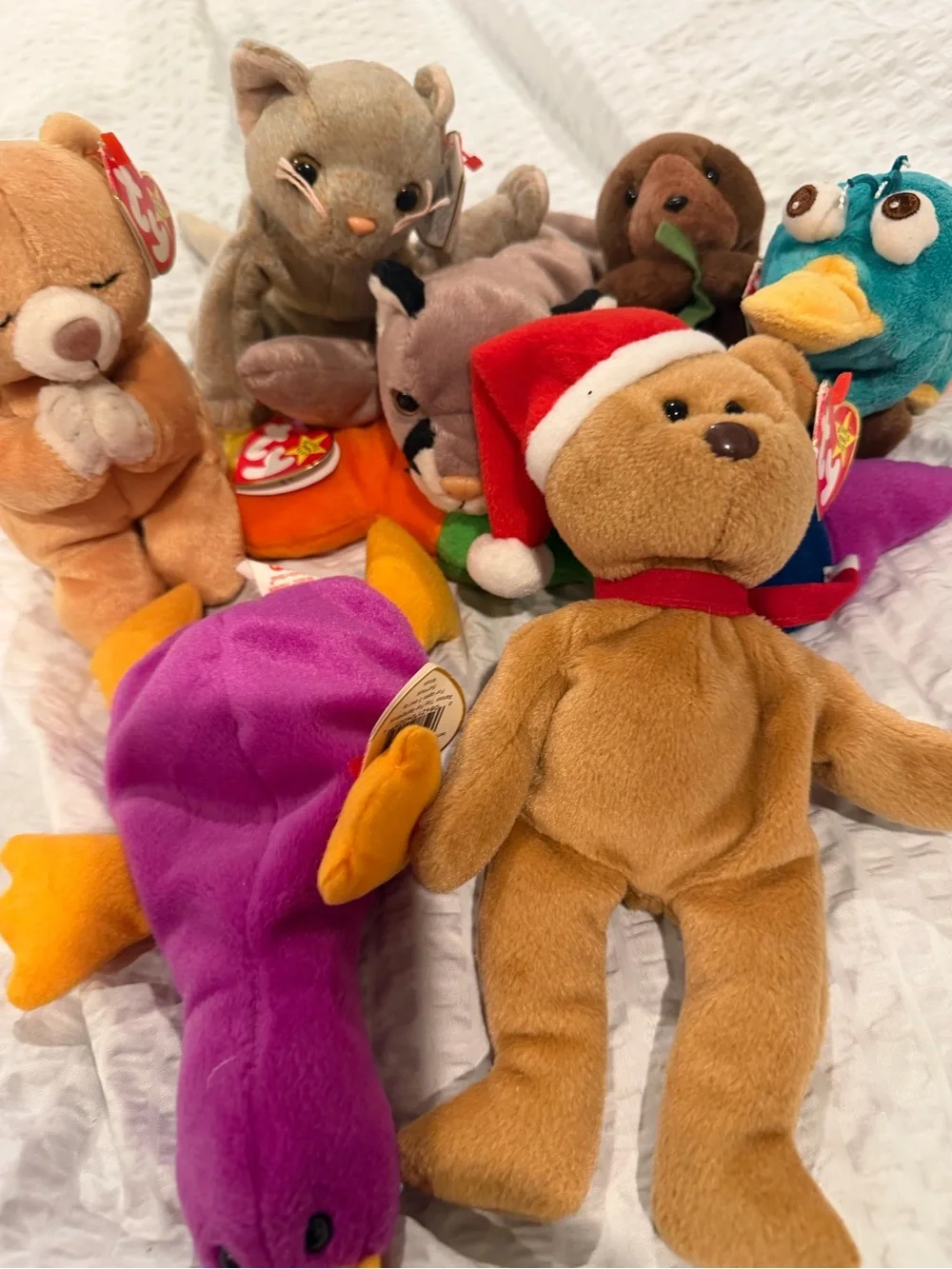 Ty Plush Assorted Friends - Brown, Purple, Teal, Tan